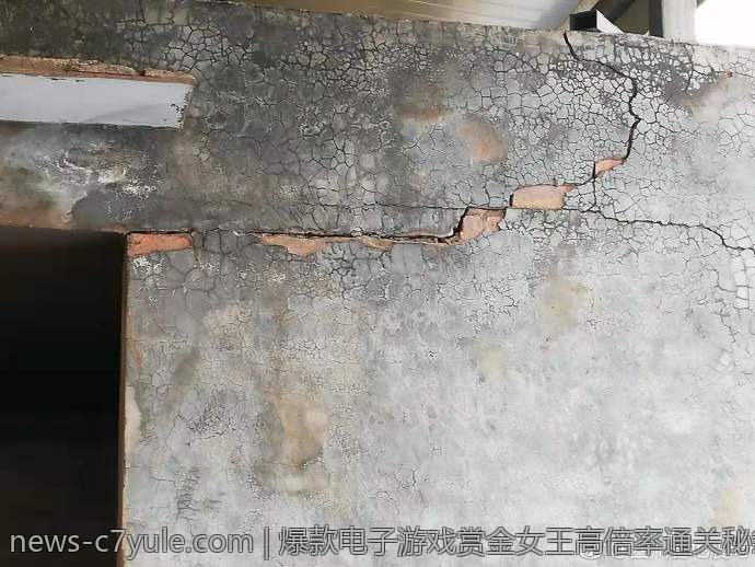 爆款电子游戏赏金女王高倍率通关秘籍揭秘