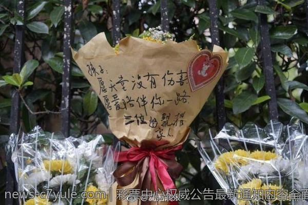 彩票中心权威公告最新通知内容全面介绍